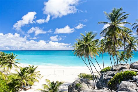 travel guide things to do in barbados trip sense tripcentral ca
