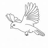 Bird Flying Coloring Drawing Pages Parrot Simple Amazing Birds Cartoon Color Kids Print Floating Sparrow Flight Sketch Cute Printable Getdrawings sketch template