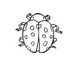 Coloring Pages Primarygames Bug Insect Click Directions Above sketch template