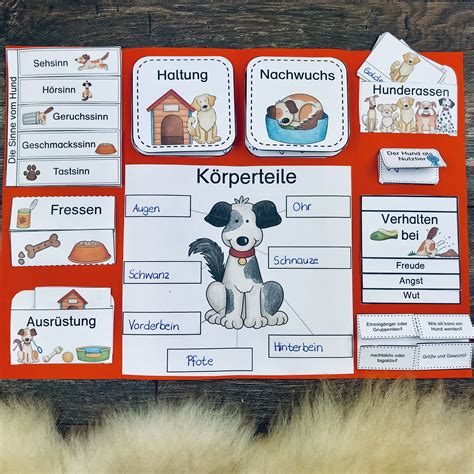 paket lapbook karteikarten zum hund mit bildern