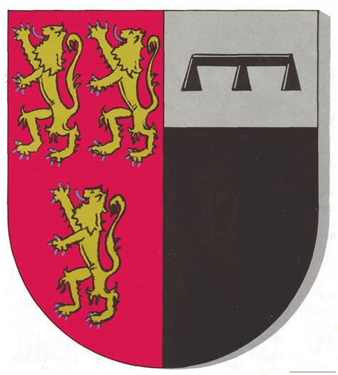 logo wapenschild en vlag lokaal bestuur denderleeuw