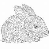 Zentangle Hase Easter Stylized Malvorlage Estilizado Coelho Coloringfolder Hare Ilustração sketch template