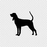 Coonhound Redbone Treeing Bluetick sketch template