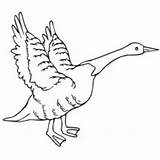 Goose Flying Coloring Netart sketch template