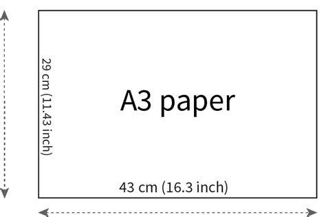 sized paper