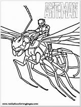 Ant Man Coloring Pages Printable Lego Antman Wasp Kids Avengers Marvel Toddler Realistic Captain America Template Choose Board Superhero Ants sketch template