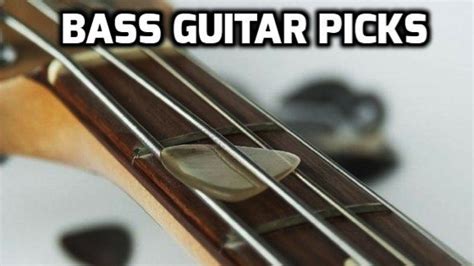 bass picks  expertly reviewed