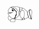 Fish Coloring Pages Outline Realistic Drawing Cute Tropical Cliparts Clipart Printable Small Clown Kids Template Drawings Coral Getdrawings Library Hawaii sketch template
