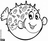 Puffer Fish Coloring Pages Color Print Printable Getcolorings sketch template