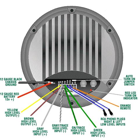 bazooka amplified subwoofer wiring diagram wiring diagram  schematic