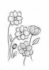Coloring Flowers Wildflower sketch template