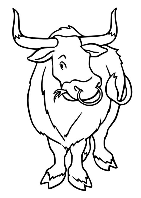 bull eating grass coloring pages coloring cool
