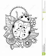 Coccinella Colorare Ladybug Boek Kleurende Vectorillustratie Coloring Vettore Stencil sketch template