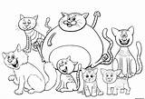 Chatons Chats Cats Tailles Purr 30seconds Chat Fect sketch template