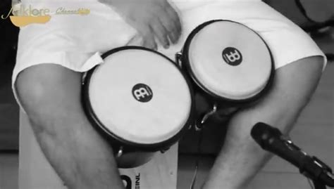 🎵 ¿cómo tocar el bongó 🥁