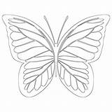 Coloring Butterfly Regal sketch template