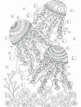 Jellyfish Mindfulness Seahorse Stress Everfreecoloring sketch template