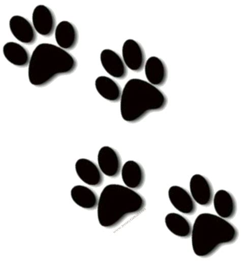 animal paw prints clip art clipart
