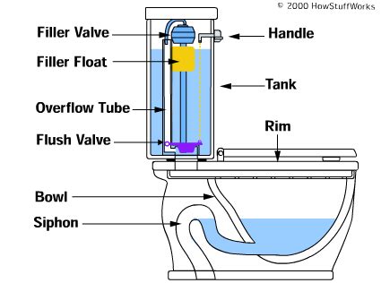diagram   toilet general wiring diagram