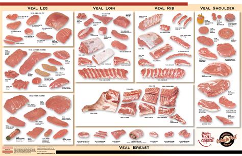 pork veal chart google search pork cuts chart meat cuts veal