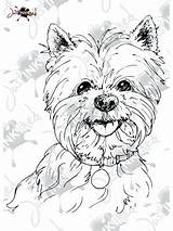 Coloring Yorkie Pages Westie Head Terrier Getcolorings Printable Getdrawings Color Highland sketch template