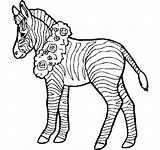 Zebra Coloring Template Pages Printable Drawing Templates Cartoon Color Step Getdrawings Print Realistic Flower Clipart Simple Getcolorings sketch template