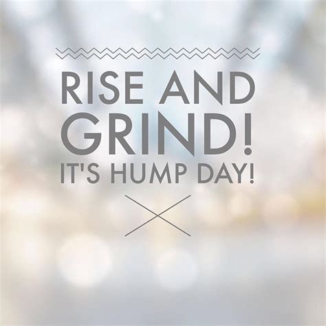 good morning wake up and make things happen today you are a goal crusher pow happy hump day