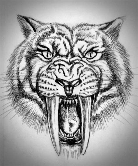 sketch   sabertooth tiger   freehand based  conceptual