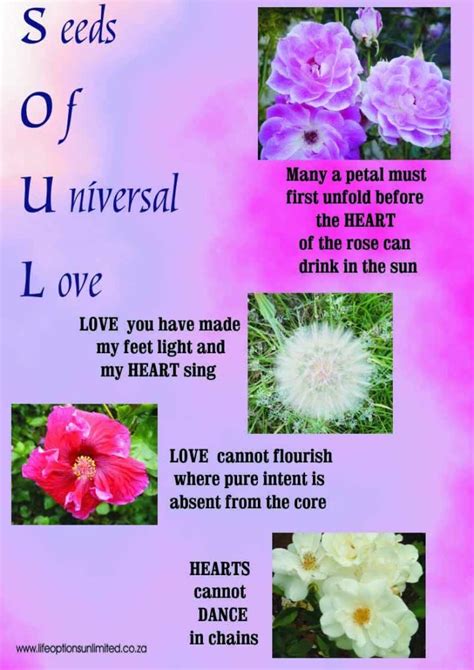 miracle  love love messages