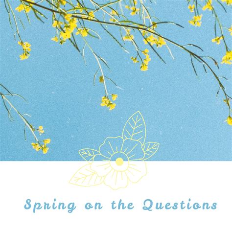 spring   questions kendranicolenet