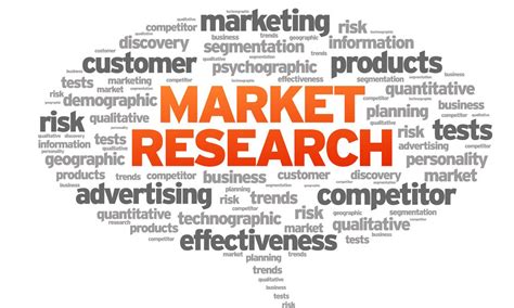 conduct market research   business