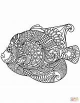 Coloring Zentangle Pages Angelfish Mandala Printable Fish Adult Paw Print Adults Animal Colouring Result Discover Drawing Categories sketch template
