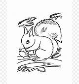 Squirrel Book sketch template