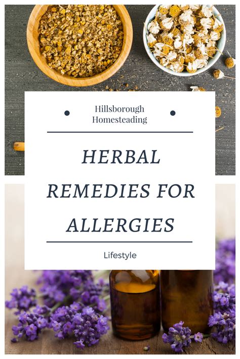 natural remedies for treating allergies allergy remedies