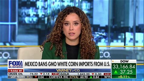 mexico s ban on gmo white corn import s leaving us farmers ‘in the dark