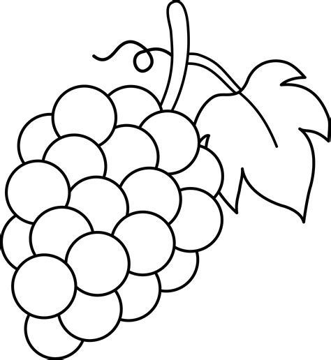 grapes black  white lineart  clip art fruit coloring pages