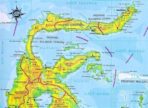 peta sulawesi peta pulau sulawesi