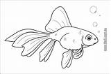 Goldfish Coloringhome sketch template