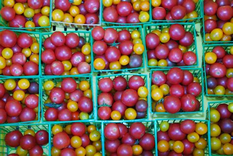 large cherry tomatoes franklin farmers market