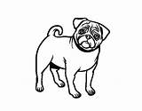 Pug Clipartmag sketch template