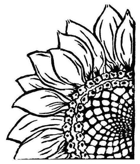 sunflower stencil sunflower drawing sunflower art sunflower template