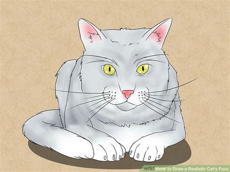 How To Draw A Realistic Cat S Face 11 Steps With Pictures