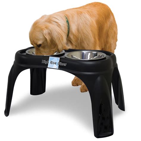 elevated dog bowls worth checking