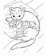 Coloring Pages Kitten Baby Popular Cute sketch template