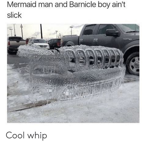 🔥 25 Best Memes About Whip Whip Memes