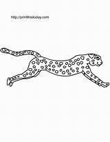 Cheetah Running Coloring Pages Getdrawings sketch template