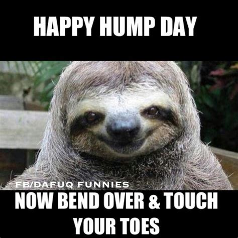 50 beautiful hump day wish pictures and images