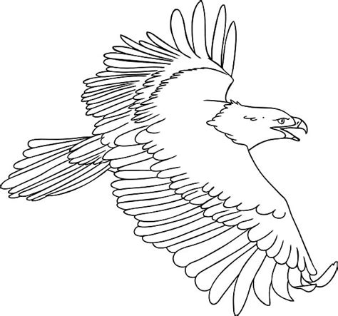 flying bald eagle coloring page netart