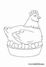 Coloring Chicken Pages Easter Egg Drawing Hen Color Kids Hellokids Getcolorings Getdrawings Popular sketch template
