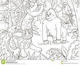 Selva Colorir Giungla Desenhos Jungle Animales Natureza Coloriage Animaux Savana Fumetto Foresta Floresta Dschungeltiere Kolorowanka Wektor Książka Zwierząt Kolorowanki Kreskówki sketch template